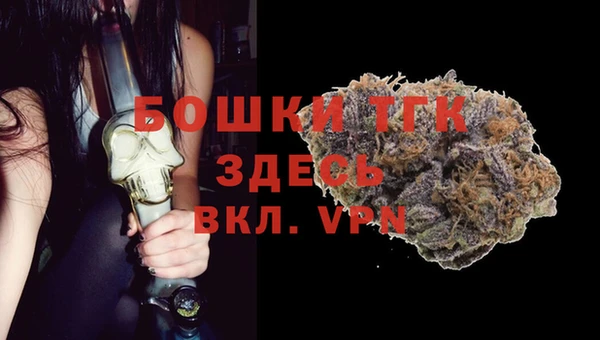 СК Володарск