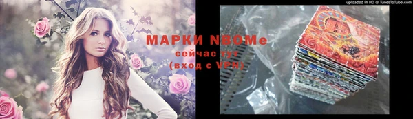 ГАЛЛЮЦИНОГЕННЫЕ ГРИБЫ Верея