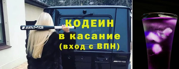 ГАЛЛЮЦИНОГЕННЫЕ ГРИБЫ Верея