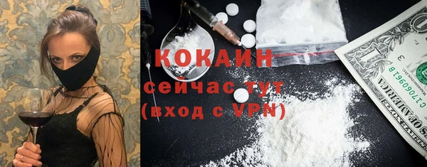 ГАЛЛЮЦИНОГЕННЫЕ ГРИБЫ Верея